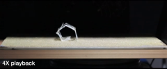 Self-Folding “Rollbot” Paves the Way for Fully Untethered Soft Robots