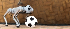 A Four-Legged Robotic System for Playing Soccer on Various Terrains