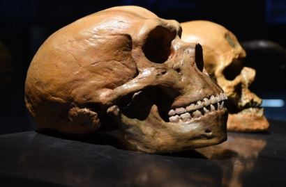 Neanderthals had the capacity to perceive and produce human speech