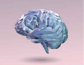 New brain circuit that controls anxiety found