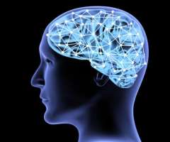 Repeated Exposure to Stigma May Reduce Brain’s Reward Sensitivity