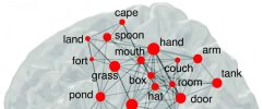 Why Some Words May Be More Memorable than Others